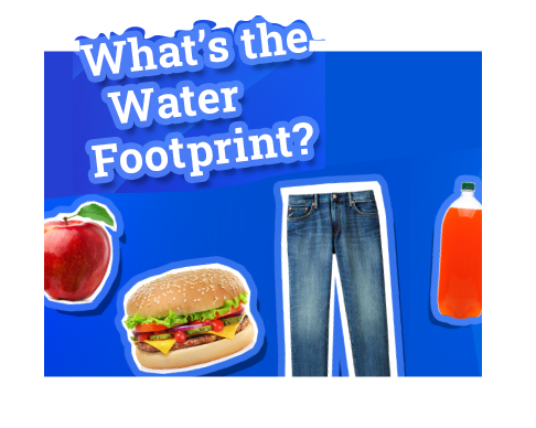 Other-Water-Footprint