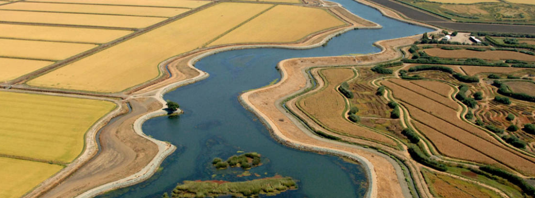 No Delta (Tunnel) Conveyance Without Building Sites Reservoir