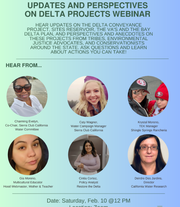 Updates and Perspectives on Delta Projects Webinar