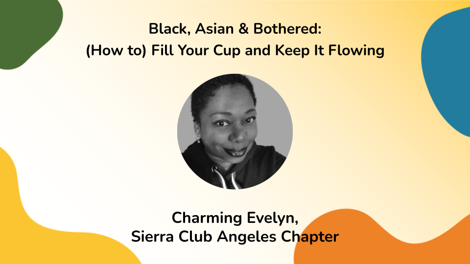 Black, Asian & Bothered by Charming Evelyn