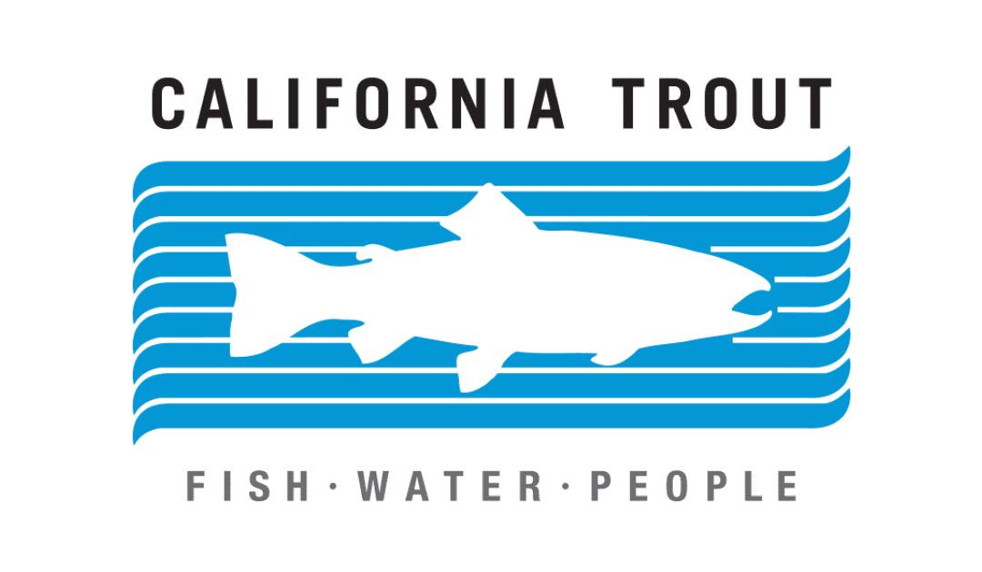 Fish Water People Film Festival