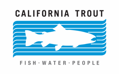 Fish Water People Film Festival