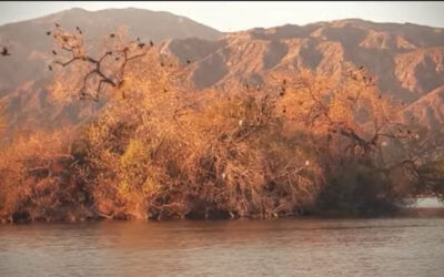 LA’s Hidden Watersheds: Connecting To Water Through SoCal’s Reservoirs