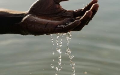 Water, Environmental Racism, and Reproductive Justice